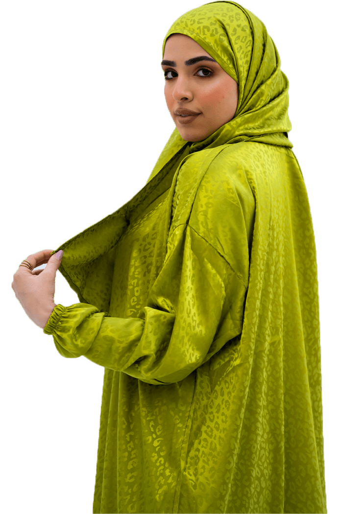 إسدال خروج شيك